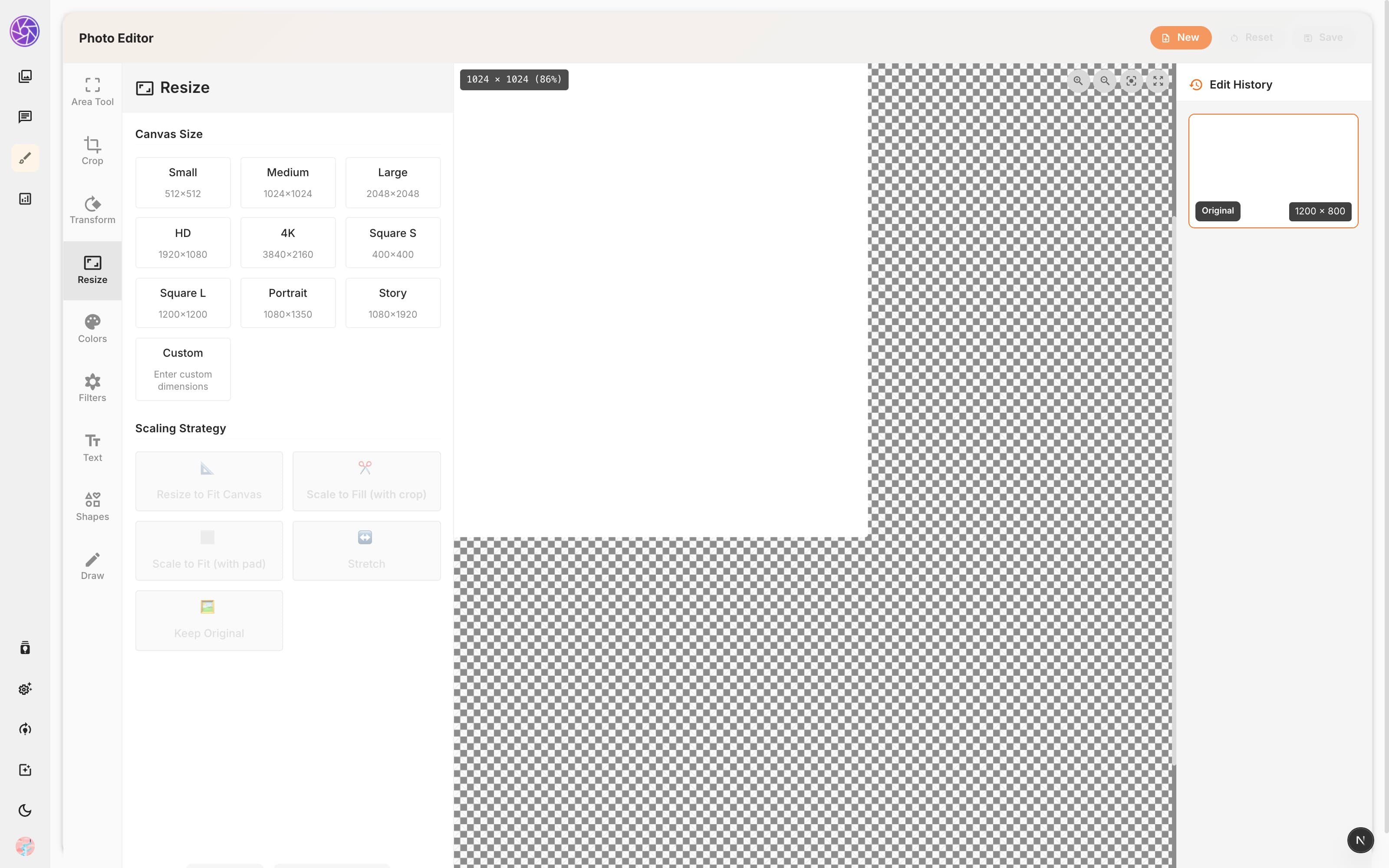 Resize tool with presets and scaling strategies