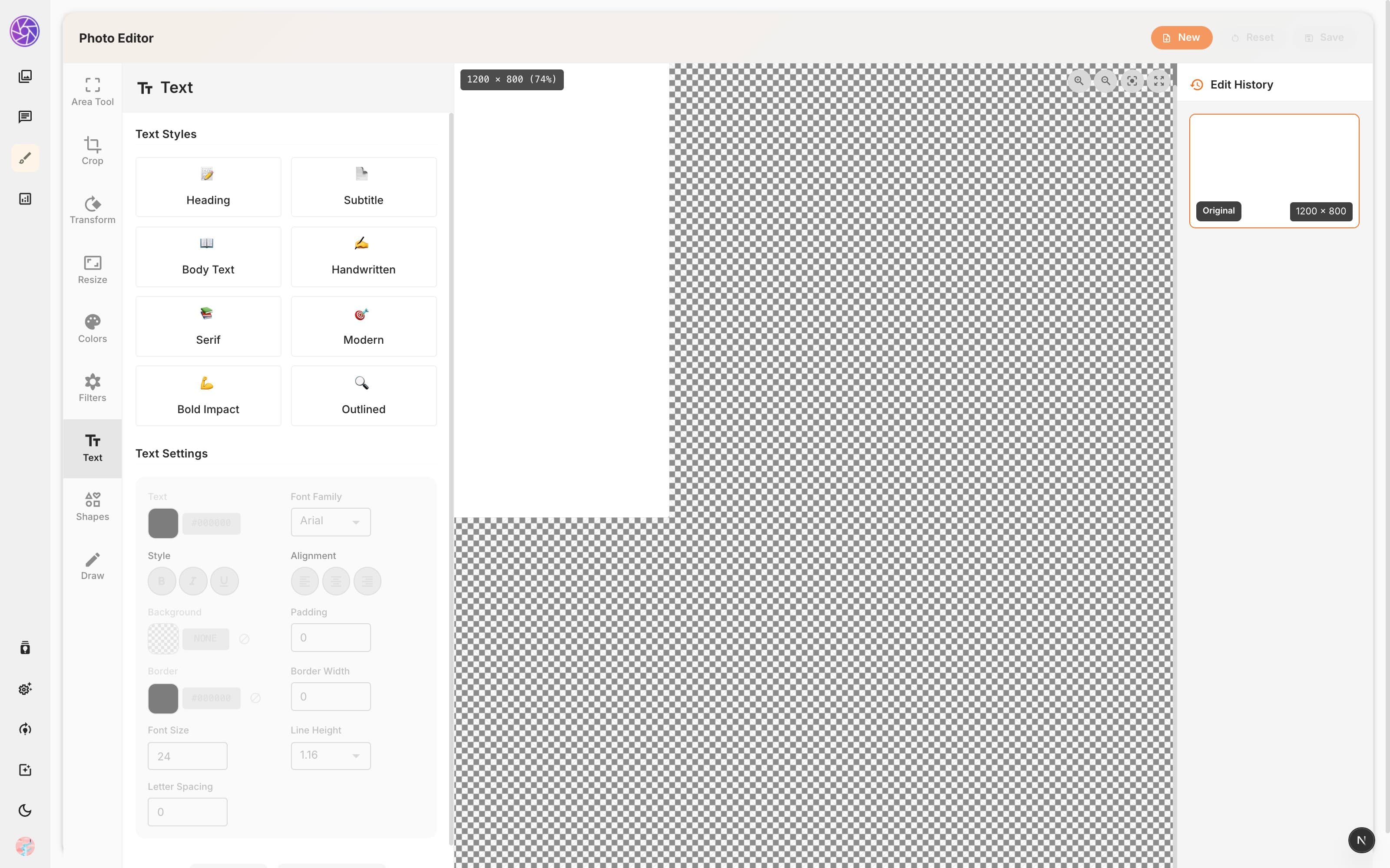 Text tool with font and style options