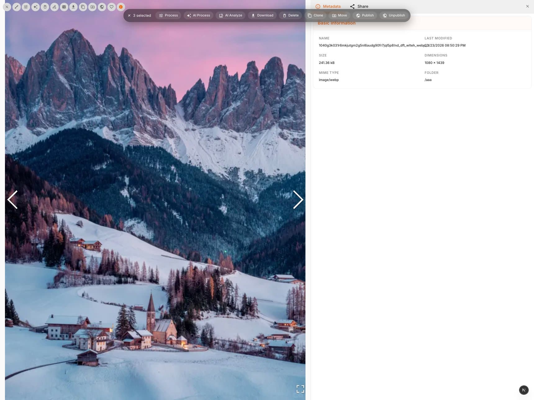 Detail view showing the image with metadata sidebar