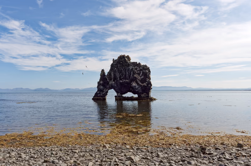 Hvítserkur, a basalt sea stack shaped like a drinking animal, standing in shallow water